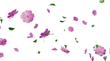 rosado flores y hojas que cae cubrir png