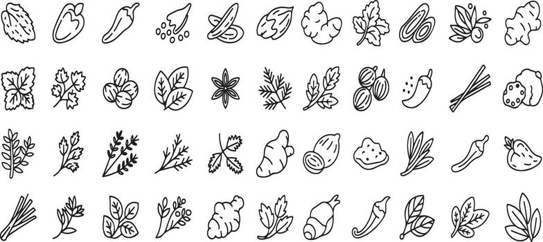 colección de intrincado negro y blanco resumen orgánico formas y patrones vector