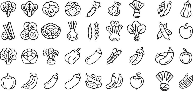 colección de mano dibujado vegetal ilustraciones en un cuadrícula diseño para diseño y educación vector