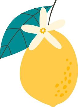 Branch With Lemon And Leaf vector