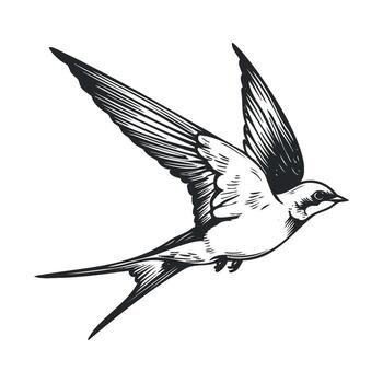 Elegant bird in flight design for artistic projects and prints vector