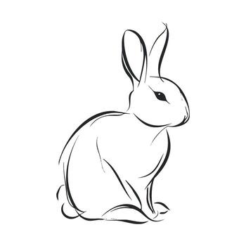 Sketch of a sitting rabbit in a minimalist style for art projects vector