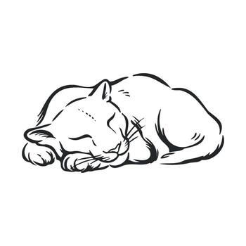 Sleeping cat in a curled position creating a serene atmosphere vector
