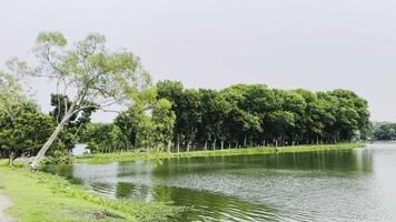 A man is walking along a path near a lake video
