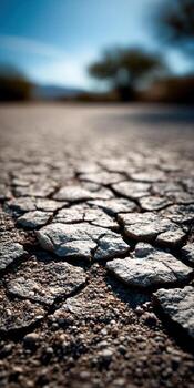 Dry soil forms cracks in desert photo