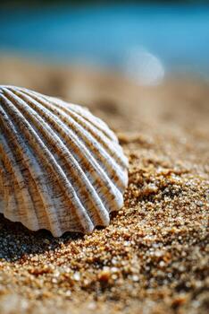 Seashell on sandy shore near Ocean photo