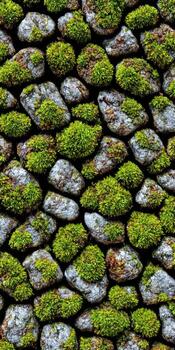 Mossy stones create a natural pattern photo