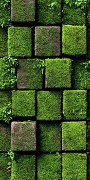 Moss covered stone square pattern photo
