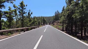 A road with trees on both sides and a bridge photo