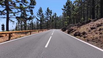 A road with trees on both sides and a fence photo
