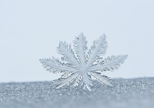 A single snowflake with intricate crystalline structure on a textured surface photo