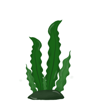 uma desenho animado plantar com verde folhas png