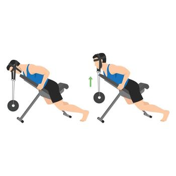 Man doing weighted neck extension on an incline bench using a neck harness to build strength. vector