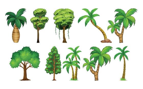 Illustration of various trees and palms vector