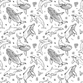 seamless pattern with whales and dolphins. Marine animals in engraving technique, freehand drawing with ink. White background. Can be used for wallpaper, textile, fabric, wrapping paper. vector