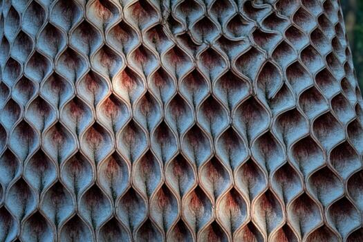 A close up of a tree with a pattern of wavy lines photo
