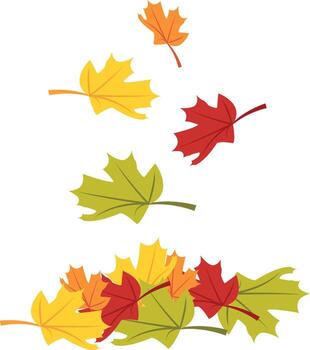 Combination of Colorful Falling Maple Leaf in Autumn Season vector