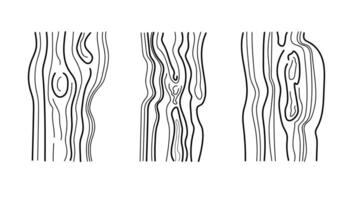 Wood texture abstract sketch on isolated background. Natural linear drawing with wooden saw cut, lumber moldings birch, ash, oak, forest trees. vector