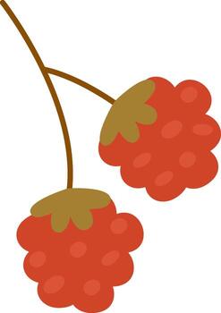 Raspberry Berries Branch vector