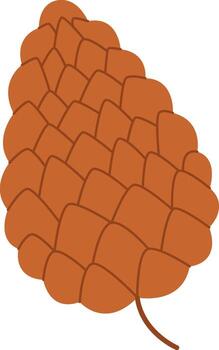 Fir Pine Brown Cone Illustration vector