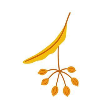 Seeds of linden tree, simple hand drawn element on a white background for stickers, web design, and postcards vector
