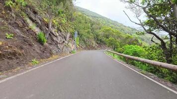 A beautiful winding mountain road, enveloped by lush greenery and towering rocky cliffs, is perfect for nature lovers video