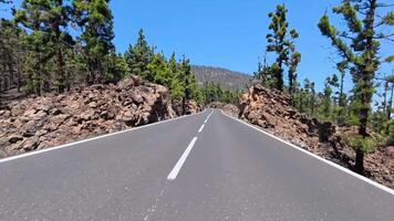 A stunningly picturesque winding road meanders through lush pine forests and rocky landscapes beneath a bright blue sky video
