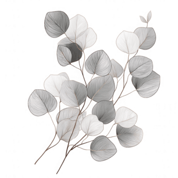 delicato eucalipto foglia illustrazione con bene linea dettagli e morbido neutro toni, la creazione di elegante e calmante botanico elemento Perfetto per design progetti png