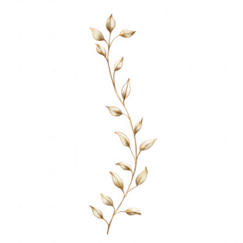 Golden botanical vine with delicate leaves, elegant trailing plant element, natural decorative design, soft metallic texture, isolated on transparency background png