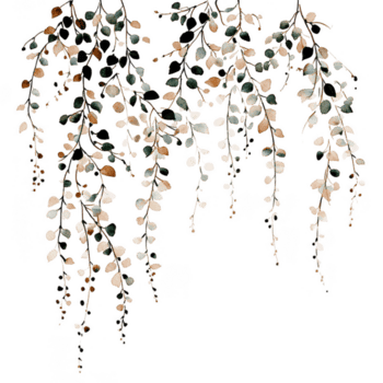 Delicate trailing botanical element with wispy foliage and small leaves in soft muted tones creates natural and elegant decorative design perfect for various creative projects png