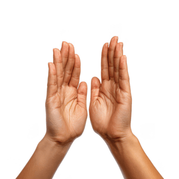 Two open palms facing each other with fingers close together showing natural skin texture and lines, isolated on transparency background with clear details and warm tone png