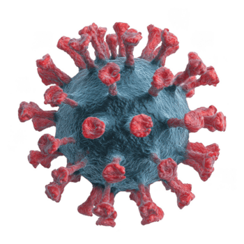 coronavirus partícula con rojo espiga proteína en azul esférico superficie, detallado 3d representación aislado en transparencia antecedentes demostración virus estructura y textura png