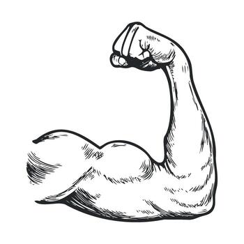 Strong muscle arm flexing featuring defined bicep and triceps vector