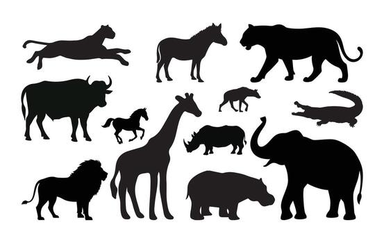 elephant wild animal icon set , sign, symbol, logo, editable stroke, flat design style collection isolated on transparent background. elephant silhouette different side view use for web and app vector