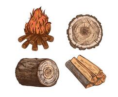 Illustrations of wood and campfire vector