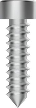 Realistic metallic screw with threading forming spiral is isolated on transparent background, creating a visually appealing representation of hardware and fasteners vector