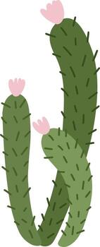 Three stylized cacti, adorned with delicate pink flowers, intertwine gracefully against a pristine white backdrop, creating a vibrant and captivating botanical illustration vector