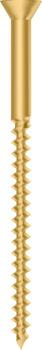 Realistic golden screw standing prominently on a transparent background, showcasing a striking visual representation of hardware, construction, and precision engineering elements vector