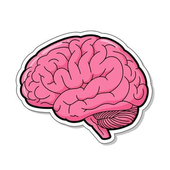 Cartoon illustration of a pink brain isolated on white background, representing intelligence, memory, learning, and the complex functions of the human mind and body vector