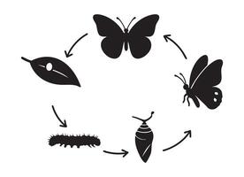 Black silhouette illustration of butterfly life cycle with egg, caterpillar, chrysalis, and butterfly on white background. concept of metamorphosis, nature, biology, education. vector