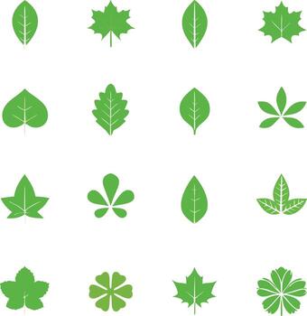 colección de varios verde hoja íconos en un cuadrícula modelo vector