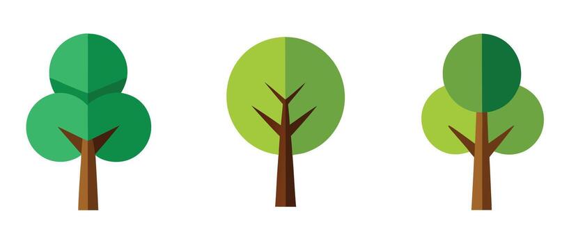 Three stylized green trees with brown trunk on a white background vector