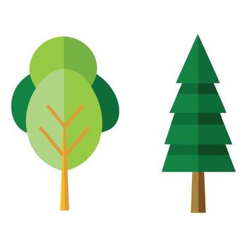 Two flat design trees one round canopy and one evergreen vector