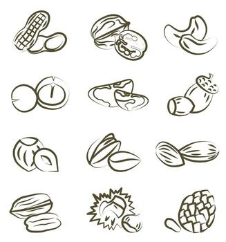 Concept of healthy eating. Collection of different nuts flat illustration. Various nuts. vector