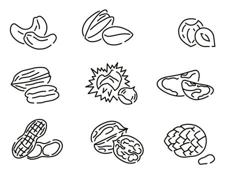 Concept of healthy eating. Various nuts. Collection of different nuts thin line with space. vector