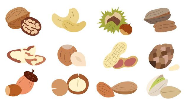 A collection of different colored nuts. Various nuts. Concept of healthy eating. vector
