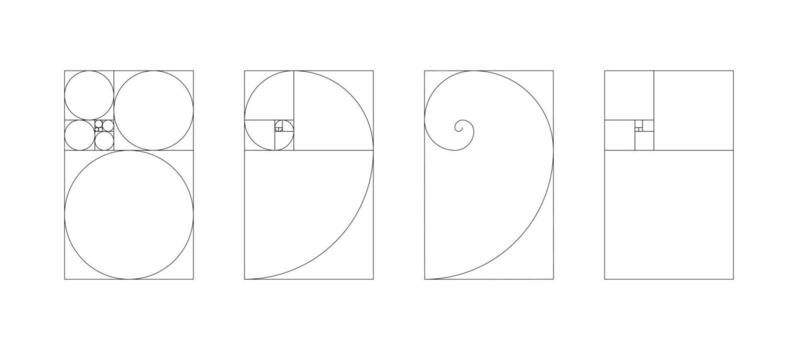 Vertical Fibonacci numbers array set. Vertical template of golden ratio harmony proportions. vector