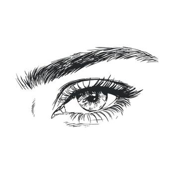 Realistic eye sketch with detailed eyelashes and brow vector