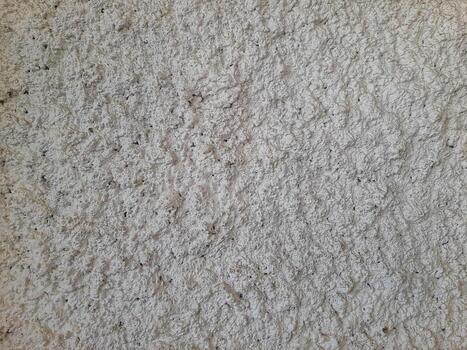 The surface of the wall is white with a rough texture and irregular patterns. photo