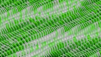 resumen olas antecedentes con campo de Tres dimensional verde y blanco elementos. suave formar animación para negocio presentación o moderno Arte actuación. movimiento gráficos , 3d hacer , 4k 60 fps video